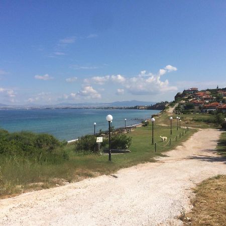 Villa Dimitra House Metokhion Patriotikon Exterior foto